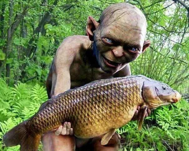 Monturi de pescuit - x2.jpg